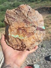 Royston Nevada Ribbon Turquoise Rough Specimen 7lbs Pics Shown Wet picture