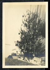 Vintage Christmas Photo DRUNK PHOTOGRAPHER SLIGHTLY CROOKED & OUT-OF-FOCUS TREE picture