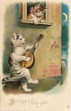 Serenading Cats Because I Love You Postcard picture