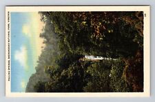 VA-Virginia, Falling Springs, Shenandoah National Park, Vintage Postcard picture
