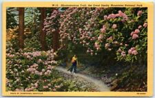 Rhododendron Trail, the Great Smoky Mountains National Park, Tennessee picture