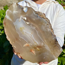 7.2LB Natural Beautiful Agate Geode Druzy Slice ExtraLarge Gemstone picture