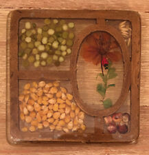 Vintage 1970s Trivet Resin Art Seeds Pressed Flowers Lucite Acrylic Retro 5”x5” picture