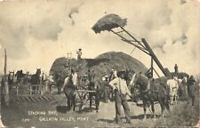GALLATIN VALLEY STACKING HAY original antique postcard MONTANA MT c1910 farm picture