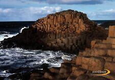 Giant's Causeway Holidays on Back Vintage Postcard Unposted picture