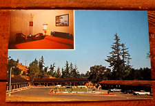 Willits California Ridgewood Park Motel Vintage Postcard Standard Chrome Unused picture