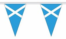 10 Metre's Euro 2024 Scotland Sky Blue Triangle Flag Party Bunting Banner picture