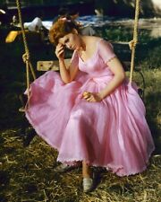 Picnic Kim Novak In Pink Dress On Swing 8x10 real photo picture