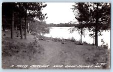 Solon Springs Wisconsin WI Postcard RPPC Photo A Pretty Shoreline c1950's Posted picture