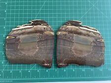 Outstanding deschutes jasper matched pair - polished, extra large, exceptional picture