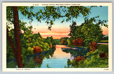c1940s PIGEON RIVER, WESTERN NORTH CAROLINA Vintage Postcard picture