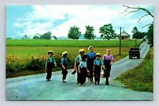 Pennsylvania Amish Country School Children Walking Home Chrome Postcard picture