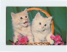 Postcard Thats A Laugh Two Kittens Inside A Flower Basket Picture picture