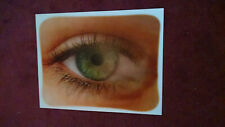 CLEARANCE  (50 ct.)  LENTICULAR EYES BLINKING LARGE 17