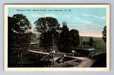Princeton WV-West Virginia, Glenwood Park, Antique, Vintage Postcard picture