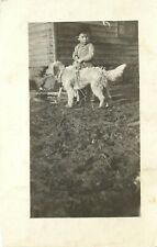 c1910 RPPC Postcard; Small Boy with Scruffy Dog on a Rope, Unknown US Unposted picture