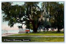 1909 A Glimpse Of Montgomery Nature Scene Savannah Georgia GA Antique Postcard picture