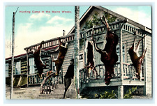 c 1910 Hunting Camp in Maine Woods Hanging Deer Posted View picture