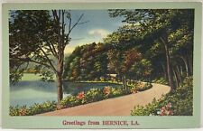 Postcard Bernice Louisiana Lake Pond Landscape Scene Union Parish LA Greetings picture
