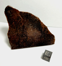 Anton Meteorite 63.7 Grams    Found 1965   Texas   H4   TKW 41.8 kg  *** RARE*** picture