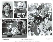 Press Photo New England Patriots Football Linebacker Steve Nelson - afa24543 picture
