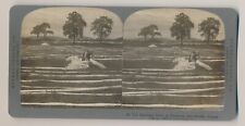 Stereoview Ireland #96 Bleaching Green at Glenmore near Belfast Stereo-Travel Co picture