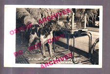 Dickinson NORTH DAKOTA RPPC c1940 FAMOUS DOG Mascot ST. CHARLES HOTEL Interior picture