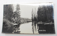 BEAUTIFUL Spring Creek Klamath County OR c1908 Photograph ORIGINAL 6.5