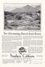 1928 Southern California Summer Vacation Vintage Print Ad Amazing Desert Flowers picture