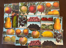 Lot of 25~Exaggerated Exaggeration Vintage Postcards~Big Fruit~Veggies~etc.~f543 picture
