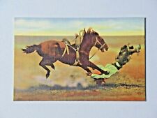 Spills and Thrills With a Bucking Broncho Linen Postcard Unused 8015 picture