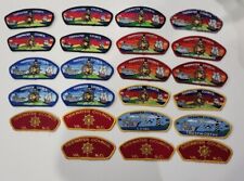 Tidewater Council Lot of 22 Shoulder Patches CSP  picture