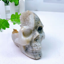 530g Natural Druzy Agate Skull Reiki Crystal Quartz Healing Energy Stone Decor picture