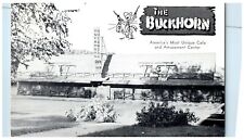 c1960 The Buckhorn Amusement Center Rustic View Long Lake Minnesota Postcard picture