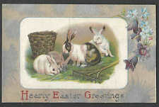 Ca 1908 PPC* EASTER RABBITS ON SILVER EMBOSSED CARD UNPOSTED picture