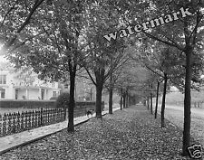 Photograph of Mount Clemens Michigan Gratiot & Church Street Year 1899  8x10 picture