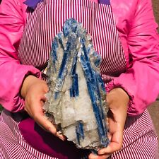 3.89LB Rare Natural beautiful Blue Kyanite with Quartz Crystal Specimen Rough picture