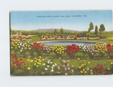 Postcard Municipal Rose Garden San Jose California USA picture