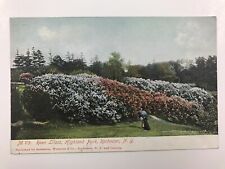 vintage 1905 Roen Lilacs highland park Rochester N Y undivided back post card picture