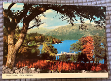 Vintage Continental Postcard - Tarbet Pier, Loch Lomond, Scotland - UNPOSTED picture