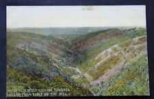 Adelaide, South Australia, Waterfalls Gully from Eagle on the Hill, circa 1910 picture