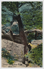 Entrance to the Twin Rocks Olean NY New York C 1911 Postcard picture