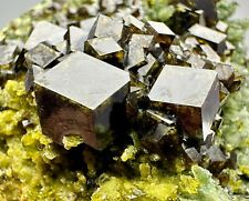 863 Gr. Full Terminated Lustrous Andradite Garnet Crystals, Vesuvianite On Matrx picture