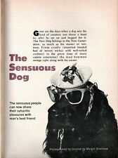 THE SENSUOUS DOG 1971 PICTORIAL BEAUTY SHOP, WALKING, CEMETERY, SITTING PET CARE picture