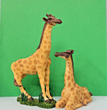 2 Giraffes 1 Standing (6