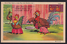 West Texas-Comic Humor-Rooster-Hen-Peacock-Curteich-Vintage Linen Postcard picture