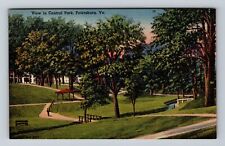 Petersburg VA-Virginia, View In Central Park, Antique, Vintage Postcard picture