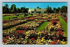 Newark NY-New York, Jackson & Perkins Rose Garden House Visitors Chrome Postcard picture