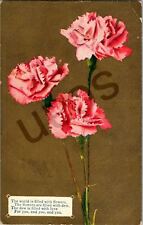 Vintage 1910 Alabama Posted Pink Floral Flower Postcard Stamped picture