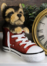 Ebros Paw-Star Pups Yorkie Yorkshire Terrier in Sneaker with Glass Eyes Figurine picture
